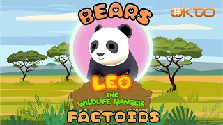 Leo The Wildlife Ranger | PANDA AND SUN BEARS 🐾 | ANIMAL FACTS | Kids Wildlife | @mediacorpokto