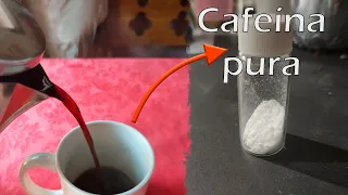 Cómo extraer Cafeína del Café