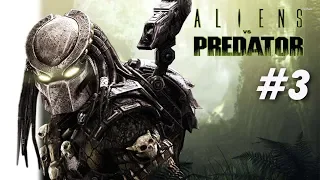 Aliens vs Predator. Хищник. Прохождение № 3. Лаборатория.