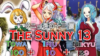 These are the final Straw Hats and their Devil Fruits, I can prove it.- サニー号の十三個 The Sunny 13 Theory