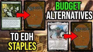 Budget Alternatives to Commander Staples