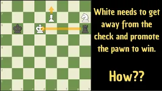 Find the winning strategy for white!