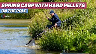 Spring Hard Pellet Fishing for Carp with Andy Bennett at Forest Lane Fishery