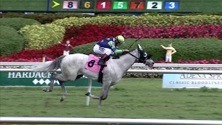 Gulfstream Park Replay Show | February 24, 2018