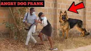 FAKE ANGRY DOG PRANK! Priceless Reactions