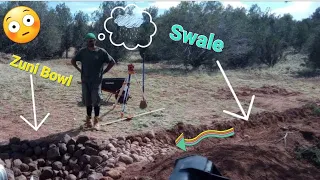 The Art of Land Regeneration: Greening The Desert Project Permaculture Swales,Zuni bowls, and Ponds.