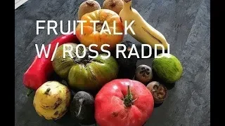 The Importance of Planning & Persimmon Favorites | Fruit Talk! w/ Ross Raddi -- EP: 11