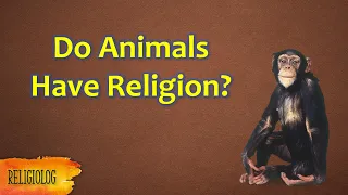 Do Animals Have Religion? Scholars on evolutionary origin of religion and ritual