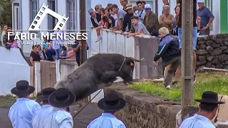 TOURADA DO BODO no PORTO MARTINS com touros da GANADARIA MJR | 16 de Junho de 2022