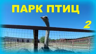 Парк птиц Воробьи - вторая территория