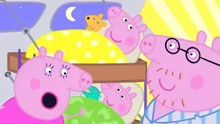 Peppa Pig en Español Episodios completos ⭐️ Día de campamento ⭐️ Pepa la cerdita