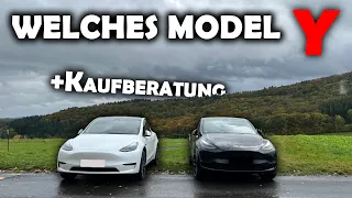 Tesla Model Y Long Range vs Performance