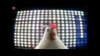 GALLINA TECHNO