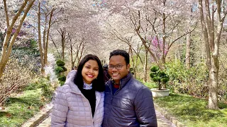 Cherry Blossoms at Sarah P. Duke Gardens- Duke University, Durham, NC