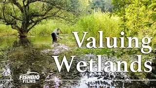 Valuing Wetlands