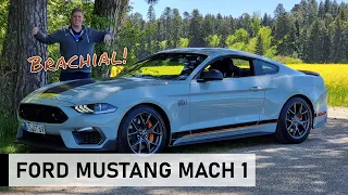 Der NEUE 2021 Ford Mustang MACH 1 - Review, Fahrbericht, Test