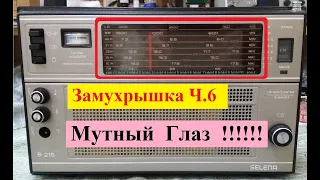 Selena B-215 . Замухрышка ! Мутный ГЛАЗ ! Часть №6 . Предупреждение от Жоры Минского .