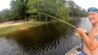 bass,bluegill, shell crackers and a crappie.  Great day out on juniper lake