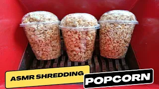 Popcorn vs Fast shredder machine | ASMR SHREDDING SO SATISFYING