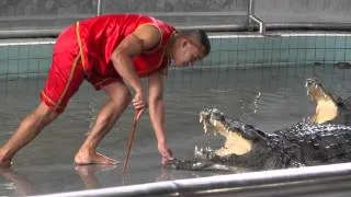 Тайланд.Паттайя.Шоу крокодилов
