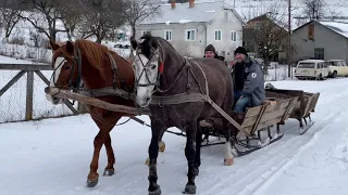 Коні Ваговози.В гостях у Михайла.Коні На Бережанщині.Купили Сани.Зимова Поїзда.Красива Пара🔥