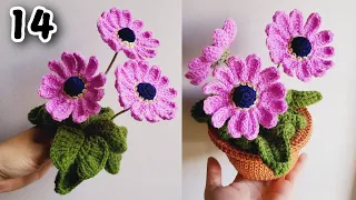 How to crochet Marguerite/Daisy Flower PRETTY in step by step tutorial for beginners