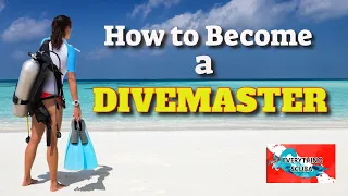 How to become a Divemaster! (A conversation with a PADI Course Director.)