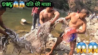 ओहो 😱😱कति धेरै माछा🐟🐟🐟 !! जाल भरी माछाै माछा||gill net fishing|| aadhikhola!! nepal!!