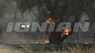 Πύρινη κόλαση στην Αιγιάλεια- Κάηκαν  σπίτια στο Λαμπίρι