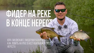 Ловля ЛЕЩА в начале ЛЕТА на ФИДЕР: настоящая белорусская РЫБАЛКА