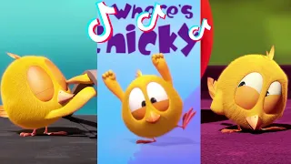 SHORTS CHICKY | CHICKY'S DANCE | Where's Chicky #shorts