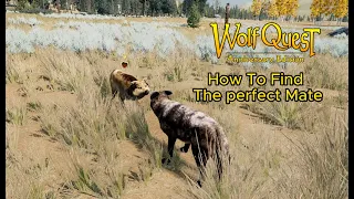 How To Find The Perfect WolfQuest AE Mate