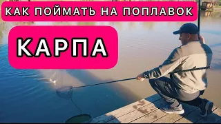 Как поймать карпа. Советы от мастера спорта. [Рыбалка 2022]