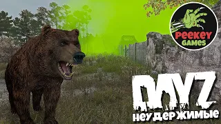 Dayz Неудержимые 63 серия Неожиданная встреча с НИМ на ТОП военке  ЧБД 7й сервер Win In Hell осень