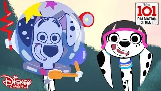 Prank Pups | 101 Dalmatian Street | Disney Channel Africa