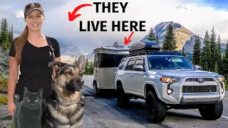 RV Tour 🚙 SOLO FEMALE Full Time RV Living in an Airstream Basecamp 👩 with a Dog and Cat 😸🐶