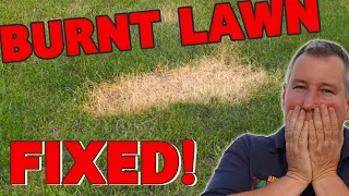 I BURNT the lawn!  Here's how to fix any burn mark the EASY way