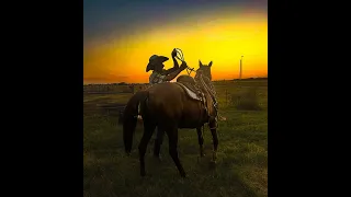 Lil Cowboy - This Damn Song (remix)
