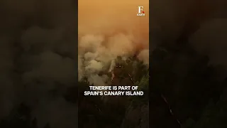 Wildfires in Spain’s Tenerife Island “Out of Control” | Firstpost Earth