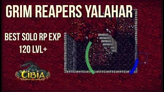 Najlepszy Exp Paladynem Solo | 120RP+ | Grim Reapers Yalahar