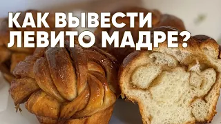 Как вывести закваску Левито Мадре?