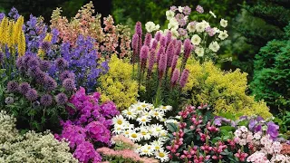 🌺Сделать свой сад красивым Идеи для вдохновения / Examples of garden plot design / A - Video