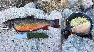 Wild Mountain Brook Trout Catch n' Cook