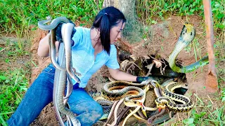 Happy Day - Discovered LARGE SNAKE NEST - Rescue the Farm - Harvesting Bamboo Shoot goes Market Sell