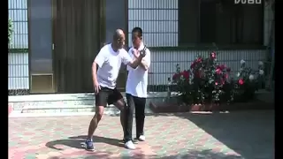 BajiQuan applications by Mr Yang Jie (杨杰)