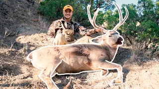 BIG MULE DEER and ANTELOPE on Back to Back Days - Wyoming DIY Public Land