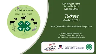 AZ 4-H Ag at Home: Animal Projects - Turkeys