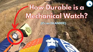 How Durable is a Mechanical Watch? Watch and Learn #89