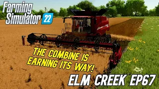 The Combine Is Earning Its Way | Elm Creek EP67 |  Farming Simulator 22 | fs22 | Time Lapse video