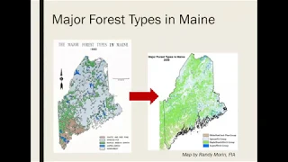 Mixedwood Management: Concepts and New Findings (CFRU 2019 Webinar Series #2)